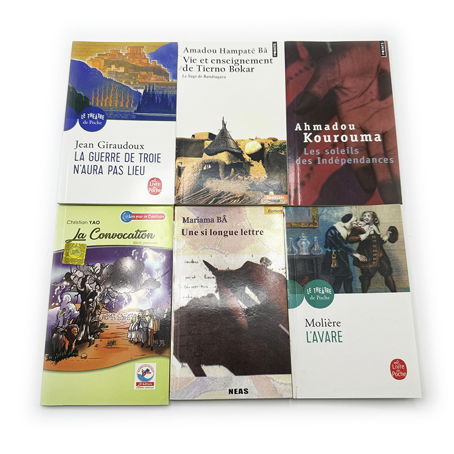 Africa Novel Book Custom Printi